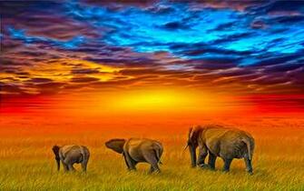 Elephant Computer Wallpaper Desktop Background Id