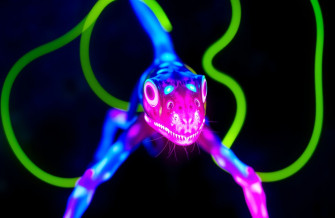 Neon Animal Wallpaper