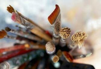 Wallpaper Paint Brushes Brush Tassel Macro Desktop