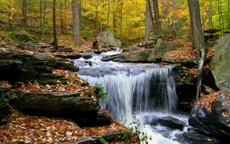 Waterfall Forest Wallpaper
