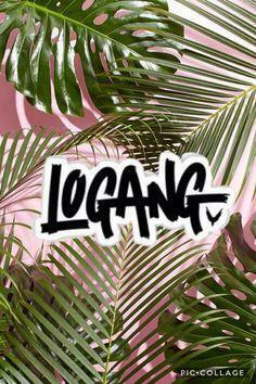Cute Wallpaper Logang Life Logan Paul
