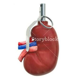 Pain In Kidneys Chronic Kidney Disease Concept Human As