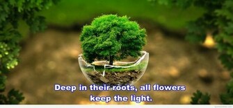 Wallpaper Nature Quotes And Image HD