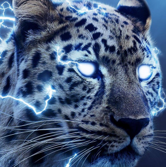 Awesome Wallpaper