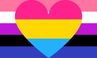 Pan Flag Wallpaper