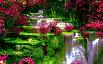 Beautiful S Wallpaper