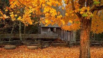Fall Screensaver HD Wallpaper