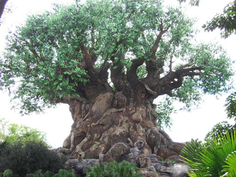 Tree Of Life