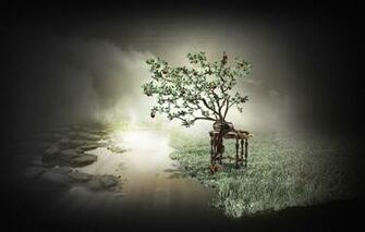 Wallpaper Table Tree Apples Apple Protein Proteins