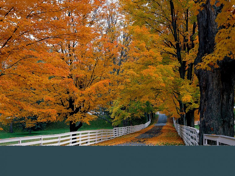 Autumn Wallpaper Fall