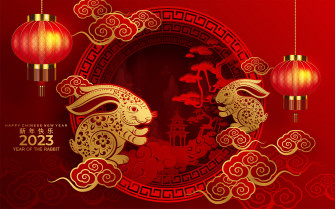 Drinks Brands Fear Curbing Of Chinese New Year Festivities