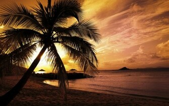 Site Design Copyright Computerwallpaper Net