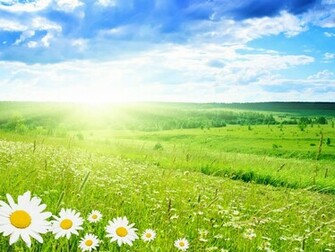 Spring Desktop Screensavers Wallpaper