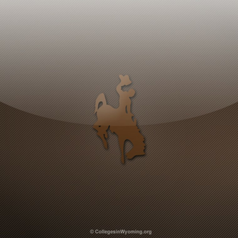 Wyoming Cowboys iPad Wallpaper University Of