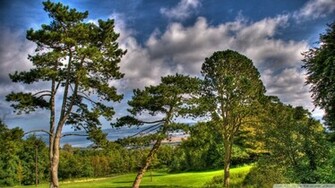 Trees At Summer HDr Wallpaper