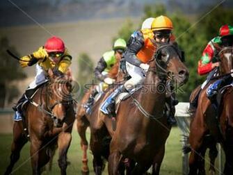 Horse Race Enjoy And Pictures For Your Computer