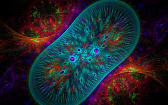Help Of The Mitochondrial Medicine In Asthma Diabetes And Diet