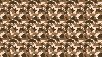 Bape Camo Wallpaper