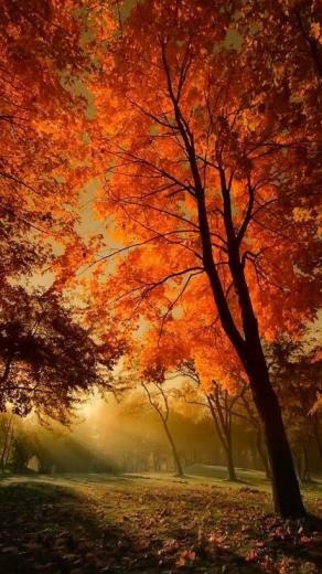 Beautiful Autumn Wallpaper