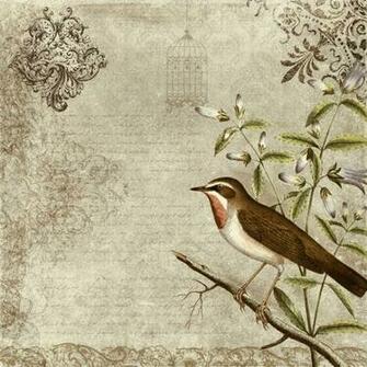Birds Wallpaper Photos Vintage Bird