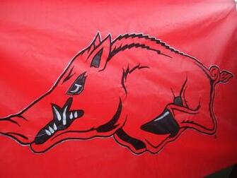 Arkansas Razorback Wallpaper Picswallpaper