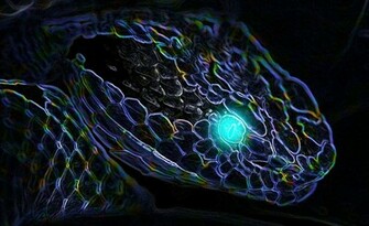 Neon Snake Blue By Thedevinciofourtime