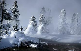 Winter Wallpaper