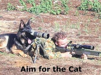 Cat Sniper Primitive S Pictures Ultimate Guitar