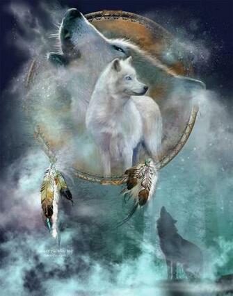 Dream Catcher Spirit Of The White Wolf By Carol Cavalaris