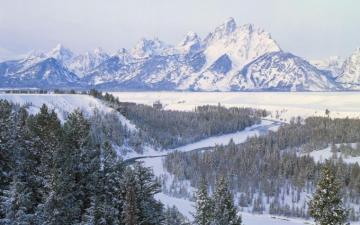 Winter Mountain Forest Wyoming Wallpaper