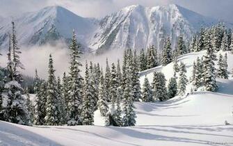 Snow Scenes Art Prints And Poster Buy A