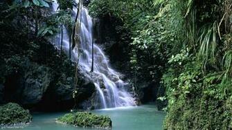 Nature Wallpaper HD Screensaver Jpg