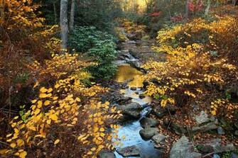 West Virginia Scenic Photography Image Thecelebritypix