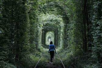 Tunnel Of Love Ukraine Wallpaper