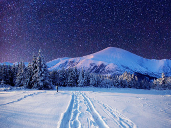 Winter Night Desktop Wallpaper