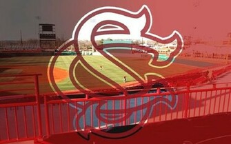Gamecock Baseball Wallpaper