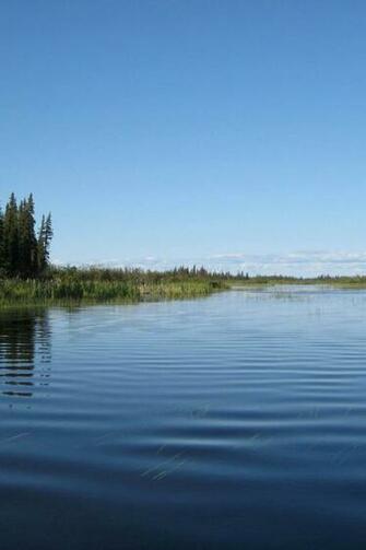 Landscape In Lowland James Bay High Resolution