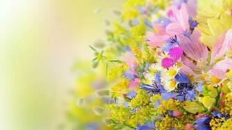 Summer Flower Wallpaper