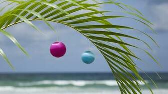 Florida Christmas Wallpaper