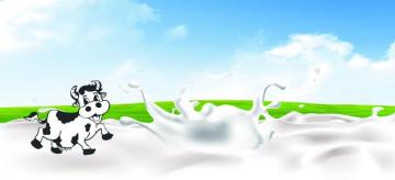 Background Banner Cartoon Cows Milk In