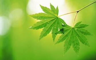 Environmental Desktop Wallpaper Top