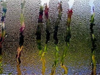 Rain Glass Window Water Drops Streams Wallpaper Macro