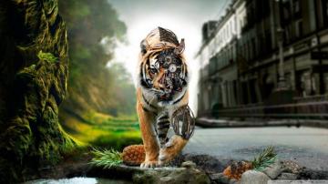 Amazing HD Wallpaper Top Background