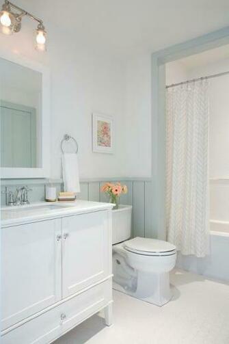 Gray Shiplap Walls Cottage Bathroom