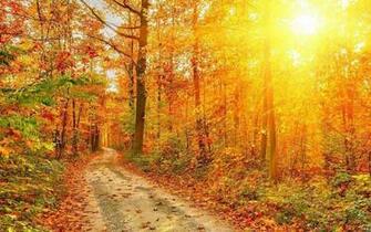 Wallpaper Natural Beauty