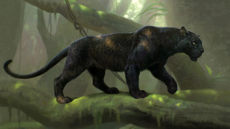 Panther Wallpaper