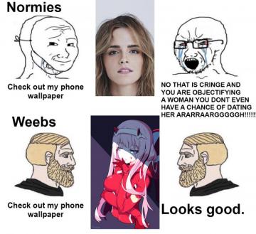 If You Have An Anime Wallpaper Big Pp Animemes