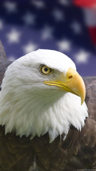 America iPhone Wallpaper