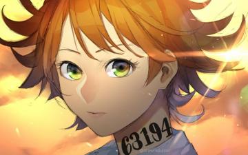Emma The Promised Neverland Art Wallpaper Background Image