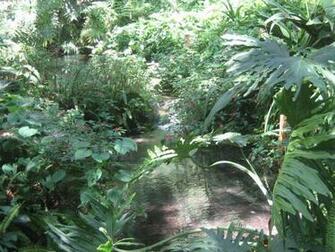 Tropical Scenery Wallpaper